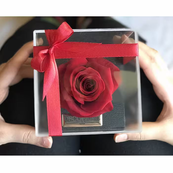 گل رز جاودان دکوفیوره مدل RedLove