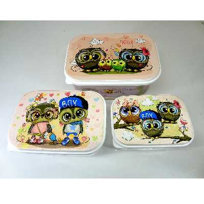 ظرف نگهدارنده زیبا مدل R008 مجموعه سه عددی