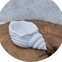 بیسخام تولیدی پریماه 2