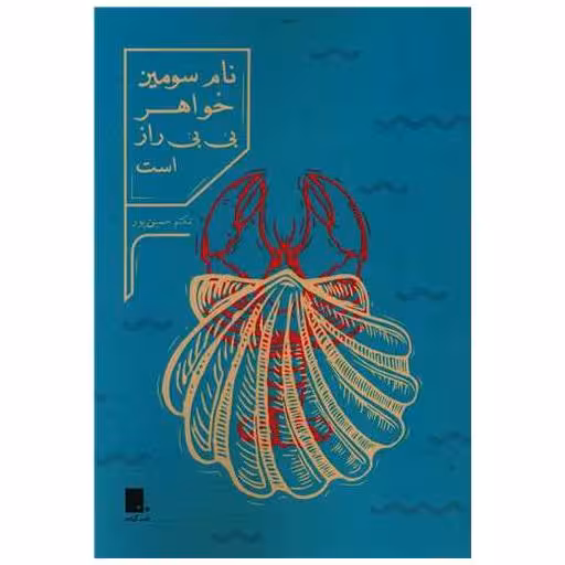 کتاب نام سومین خواهر بی بی راز است اثر تکتم حسین پور