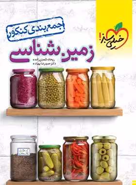 قیمت و خرید کتاب جمع بندی زمین شناسی کنکور خیلی سبز | چی بخونم