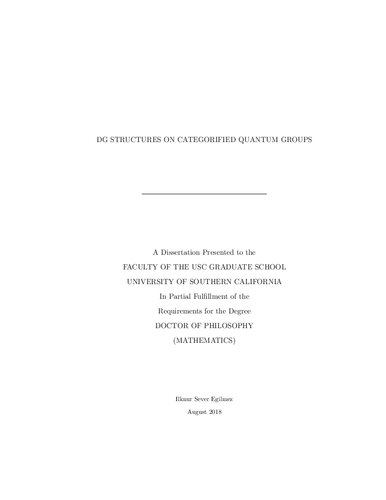 خرید و دانلود نسخه کامل کتاب DG structures on categorified quantum groups