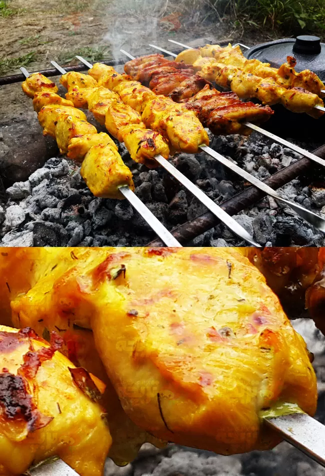 عکس با کیفیت جوجه کباب ایرانی