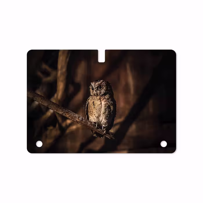 برچسب پوششی ماهوت مدل Owl مناسب برای تبلت سامسونگ Galaxy Tab S 10.5 2014 T805