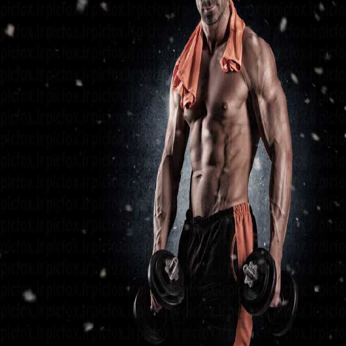 خرید و دانلود عکس Fitness People کد 17141 | پیک فاکس | Pic Fox