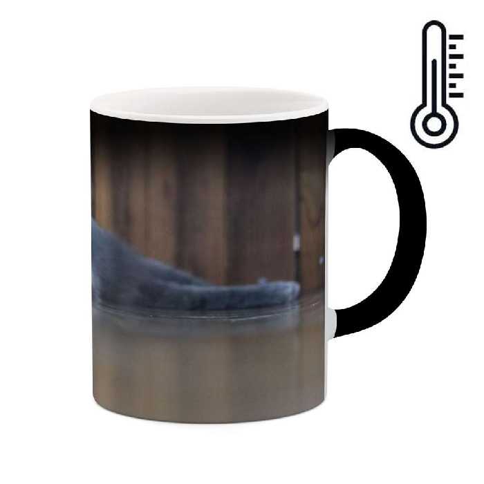 ماگ حرارتی کاکتی طرح گربه مدل mgh14160