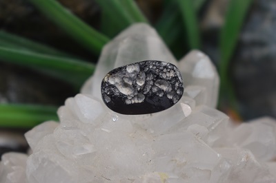 تکتیت طبیعی