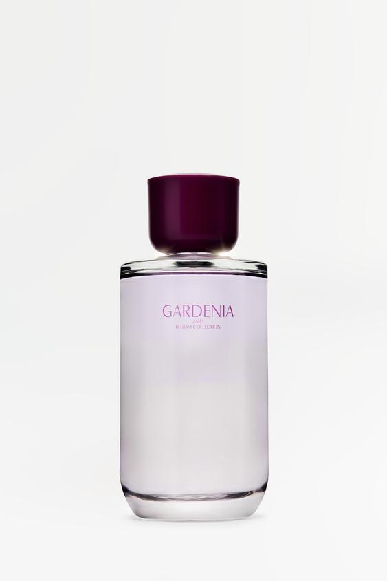 عطر زنانه زارا GARDENIA EDP 180 ML | تهران زارا TehranZara
