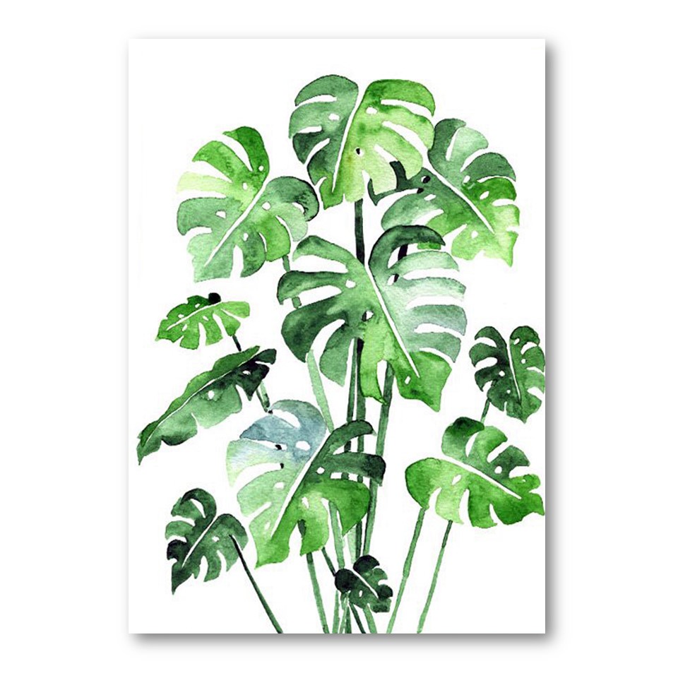 تابلو شاسی مدل گل استوایی