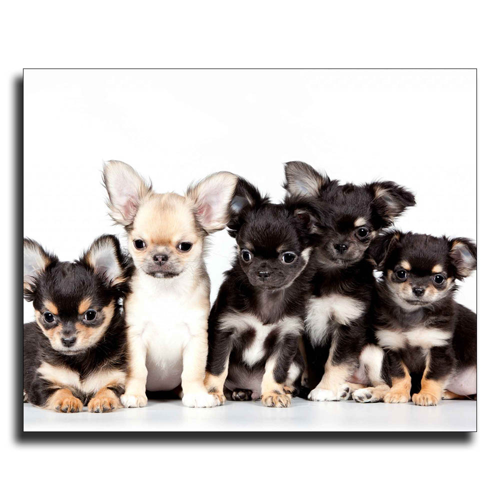 تابلو شاسی تکس پیک مدل E 20