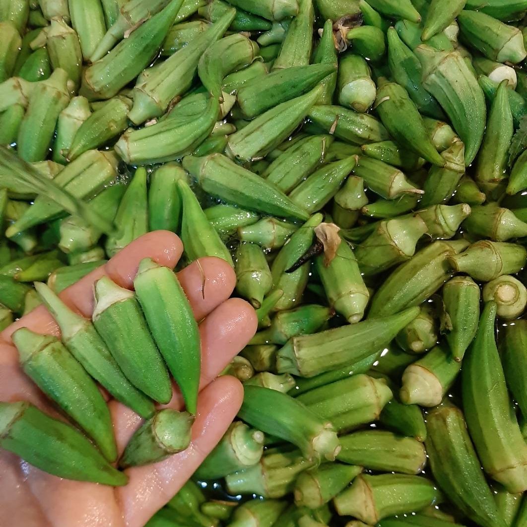 بامیه سرخ شده آماده مناسب برای خورشت بامیه دربسته بندی های کاملا بهداشتی