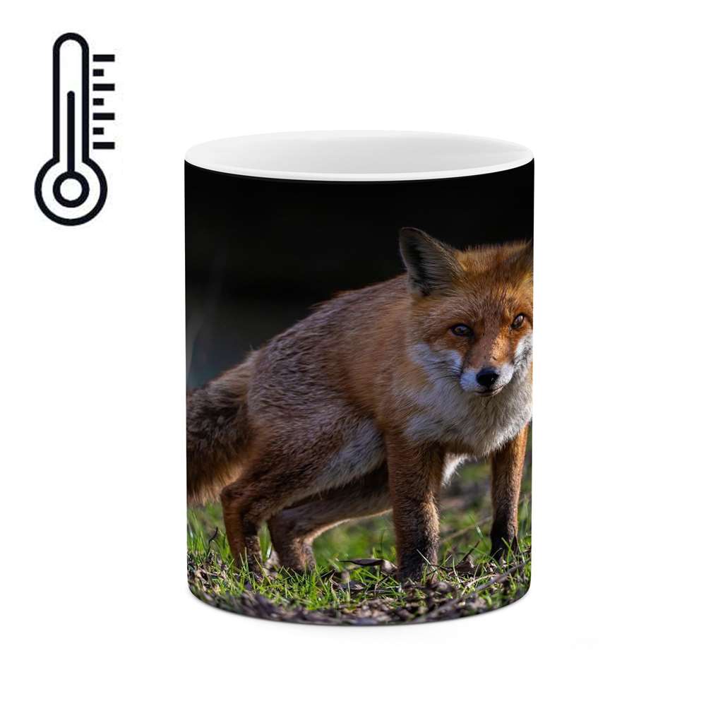 ماگ حرارتی کاکتی طرح روباه مدل mgh17396