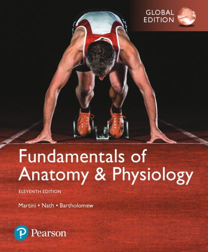 󾕇 دانلود کتاب Fundamentals Of Anatomy And Physiology, Global Edition, 11th ed, 2018 - دانلود کتاب های دانشگاهی