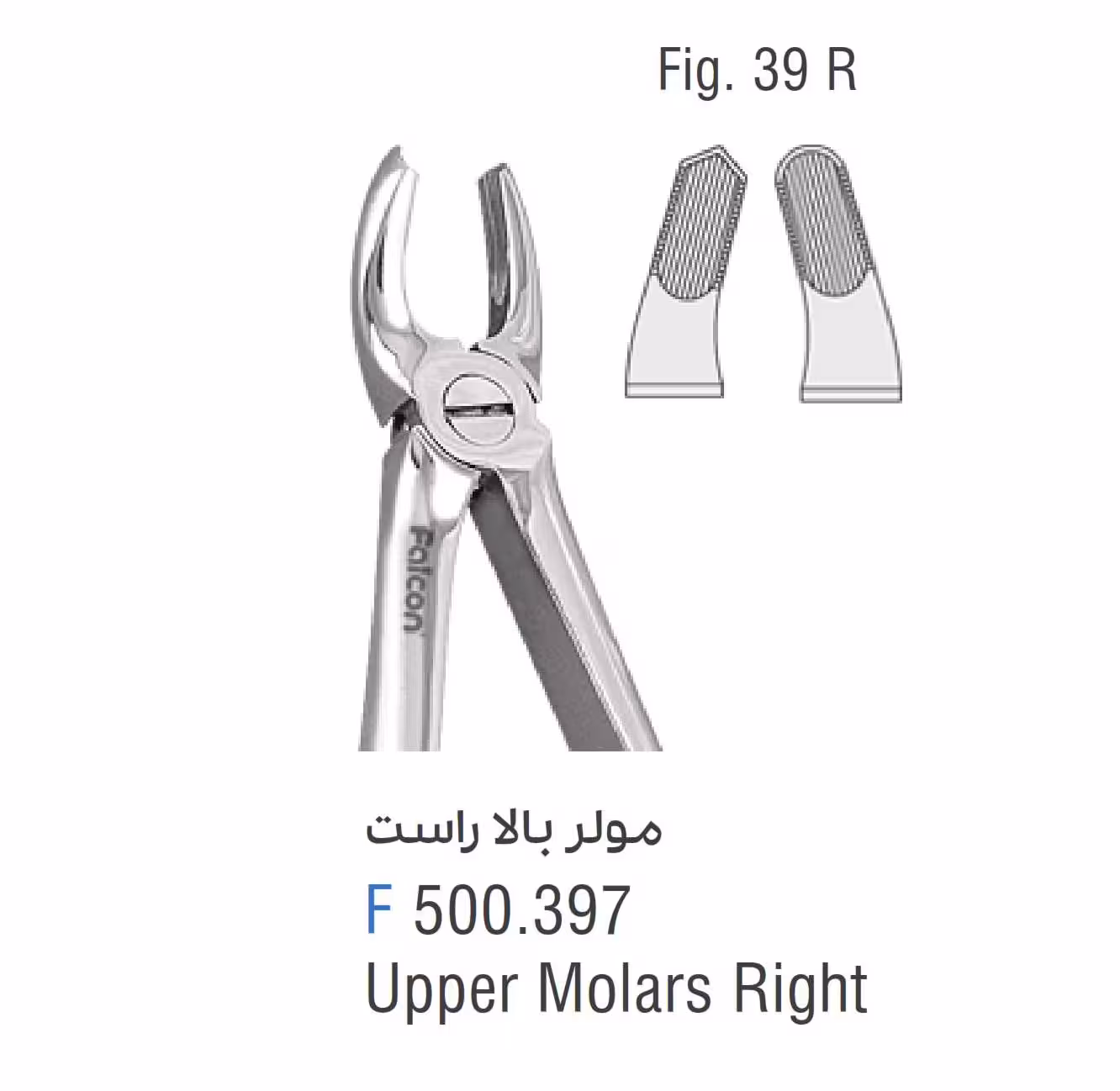 فورسپس مولر بالا راست fig:39R - فروشگاه تخصصی دندانپزشکی سپیرا