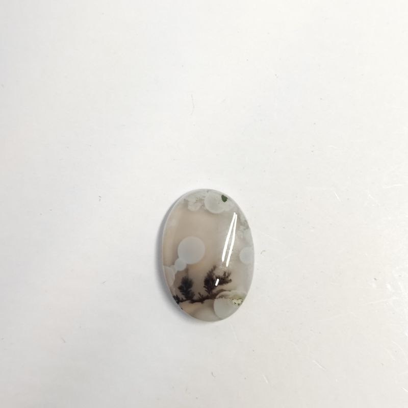 عقیق شجر اصلی همراه با شناسنامه کد SASH09 نقره جات لطفی