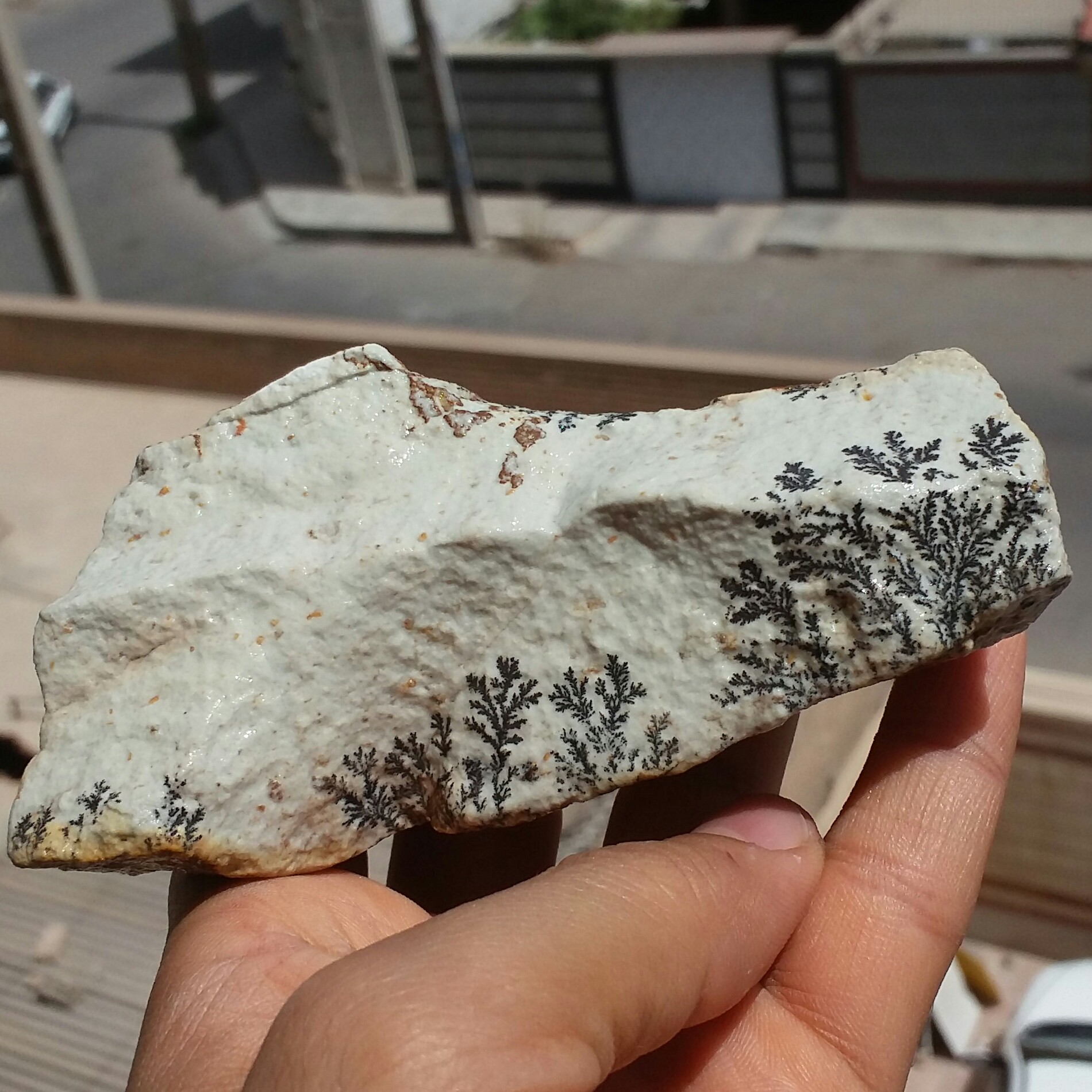 سنگ راف 100 در 100 طبیعی شجر دندریتی یا فسیلی درشت محشر خاص شاهکار خلقت
شجر واضح خاص تصویر از 2طرف نمونه
کد10982