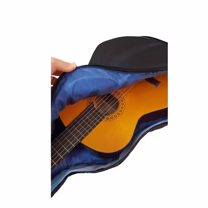 گیتار آرین مدل AK 80