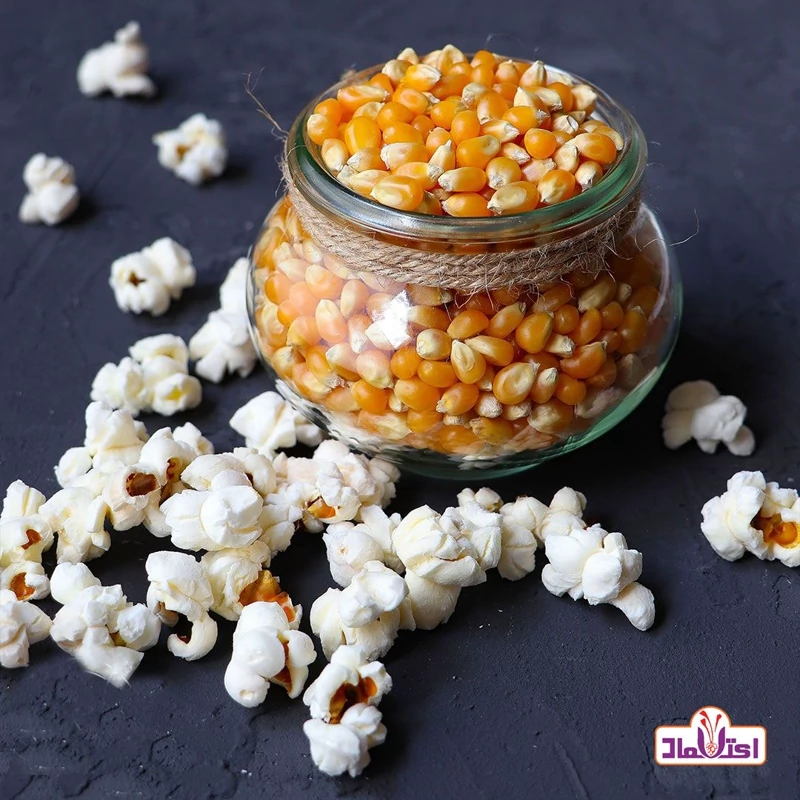 ذرت پفیلا پاپ کورن 100 گرمی اعتماد  تازه و کم خطا | amazonchi