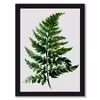 تابلو مدل DV-GREEN001 مجموعه 5 عددی
