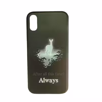 کاور مدل GVZN  - ALWYS2 مناسب برای گوشی موبایل اپل IPHONE X / XS