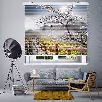 پرده زبرا زیو مدل L5058 سایز 100x280 سانتی متر
