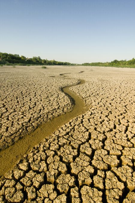 خرید و دانلود عکس Nature-Part-9 کد 37370 | پیک فاکس | Pic Fox