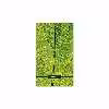 برچسب پوششی ماهوت مدل Leaf-Texture مناسب برای تبلت سامسونگ Galaxy Tab A 8.0 2019 T295
