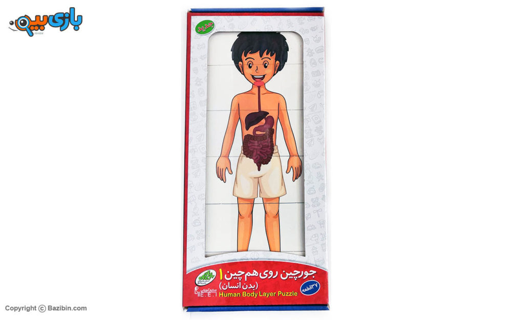 لغز طبقه جسم الإنسان من صنایع آموزشی