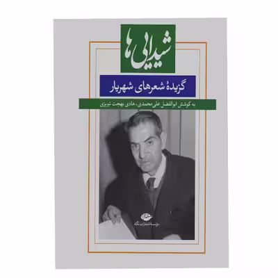 کتاب شیدایی ها اثر ابوالفضل علی محمدی نشر نگاه