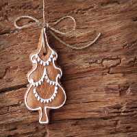 خرید و دانلود عکس Christmas_gift-6 کد 12336 | پیک فاکس | Pic Fox