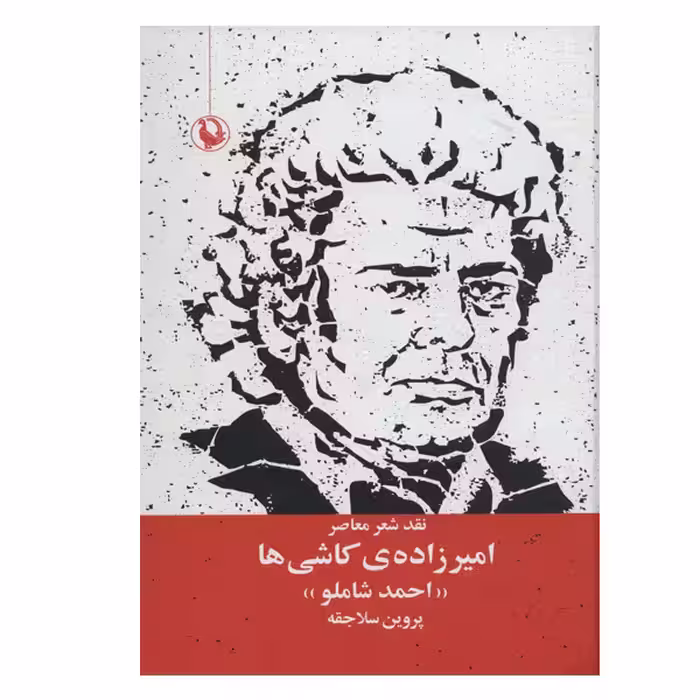 کتاب امیر زاده ی کاشی ها اثر پروین سلاجقه انتشارات مروارید