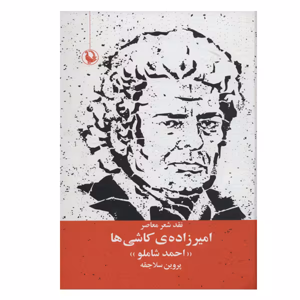 کتاب امیر زاده ی کاشی ها اثر پروین سلاجقه انتشارات مروارید