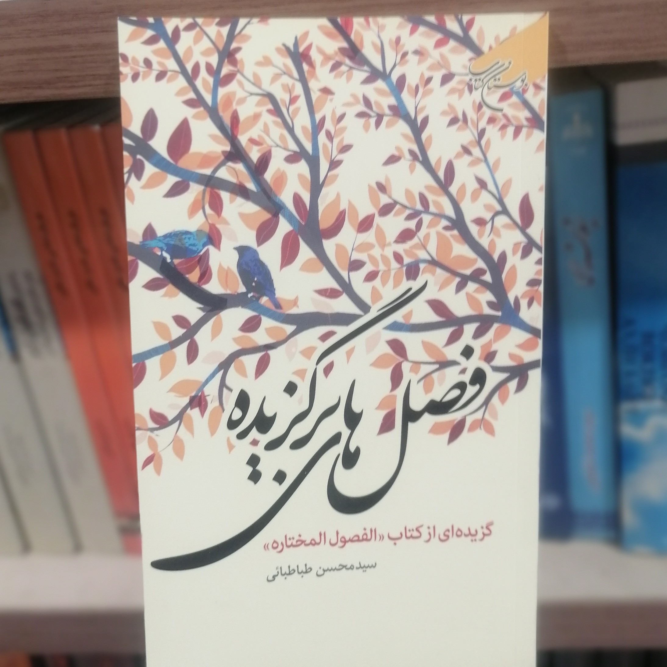 کتاب فصل های برگزیده گزیده ای از کتاب فصول المختاره