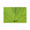 برچسب پوششی ماهوت مدل Leaf-Texture مناسب برای تبلت اپل iPad Pro 10.5 2017 A1709