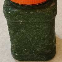 دلال نازخاتون سبز وتازه