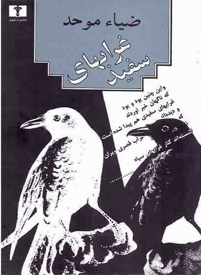 غرابهای سفید