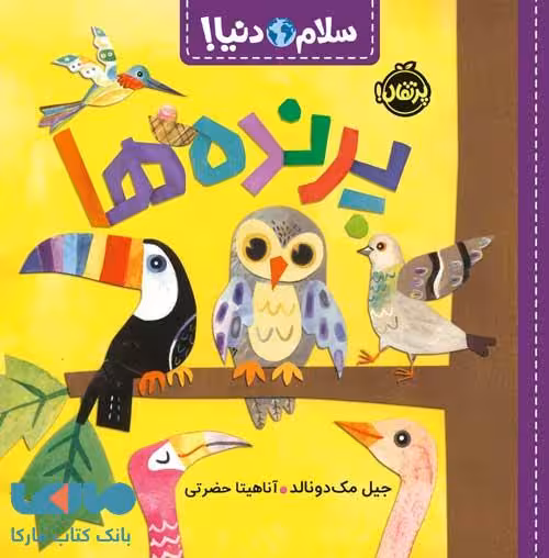 سلام دنیا (پرنده ها) پرتقال