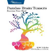 خرید و دانلود نسخه کامل کتاب Pandas Brain Teasers: Exercise Your Mind