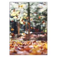 تابلو شاسی ونسونی طرح Fall Leaves سایز 70 × 50 سانتی متر