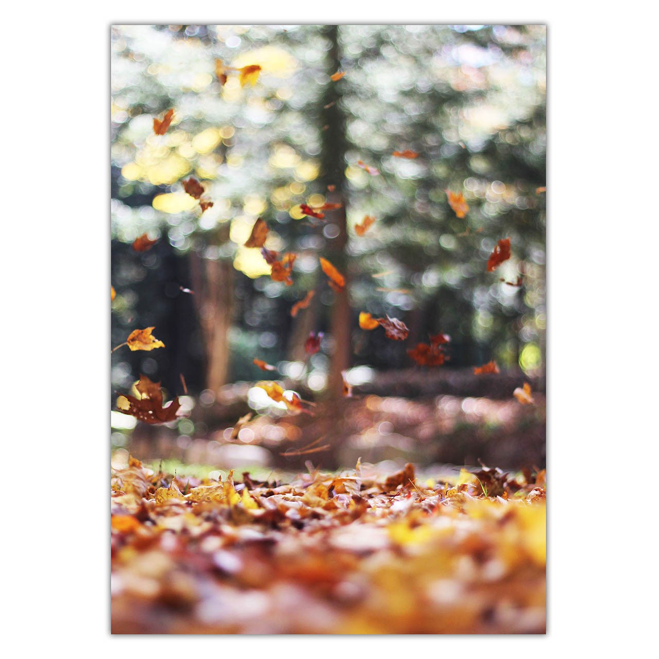 تابلو شاسی ونسونی طرح Fall Leaves سایز 70 × 50 سانتی متر