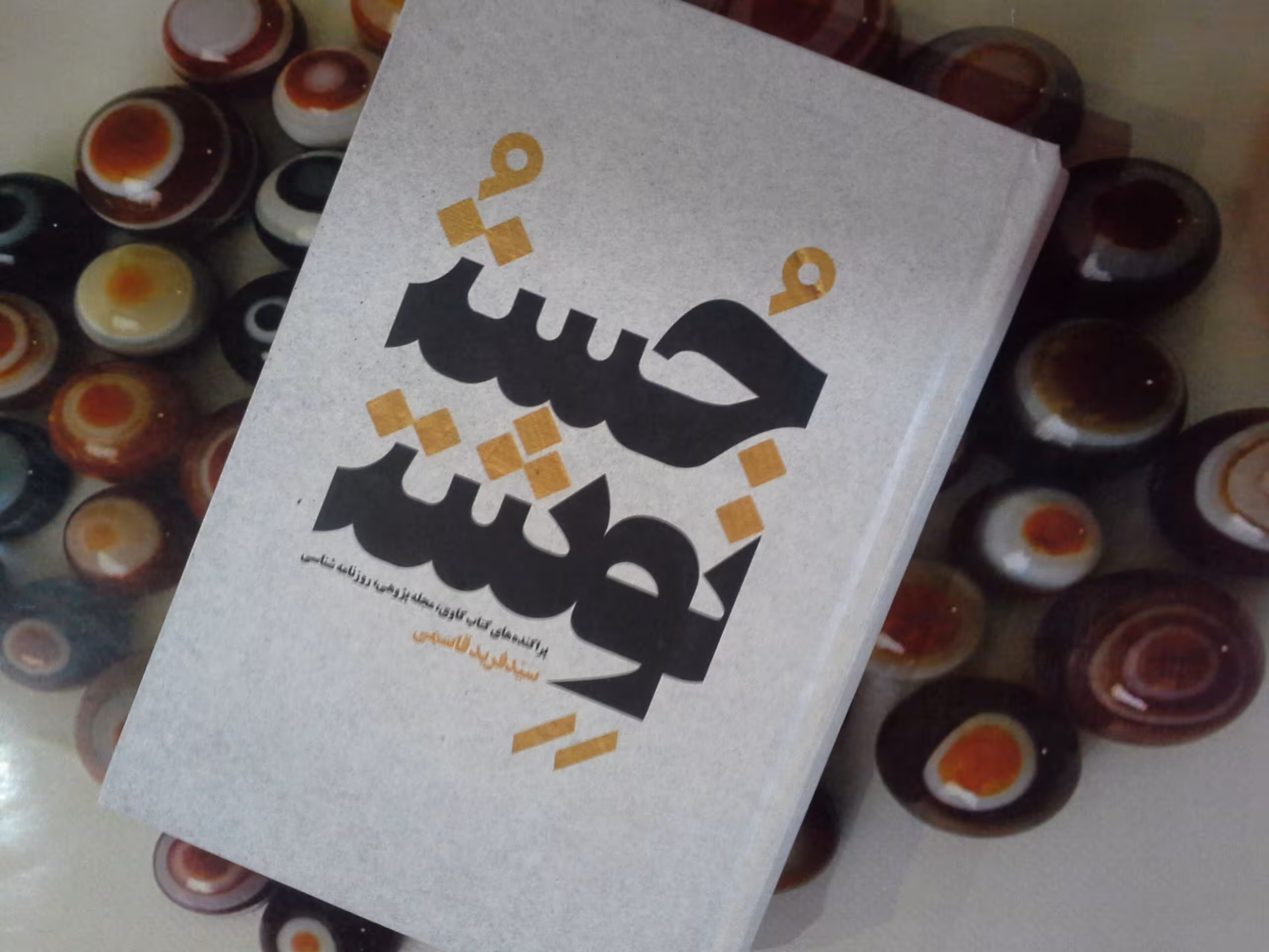 کتاب جُست و نوشت - خرید با تخفیف چهل درصد ازکتاب دایره قهوه ای