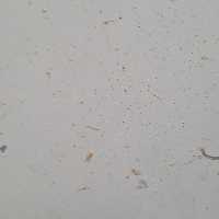 کنترل کامل دو ریموت قفل مقابل برقی و به همراه مقابل برقی الکتروپیک 