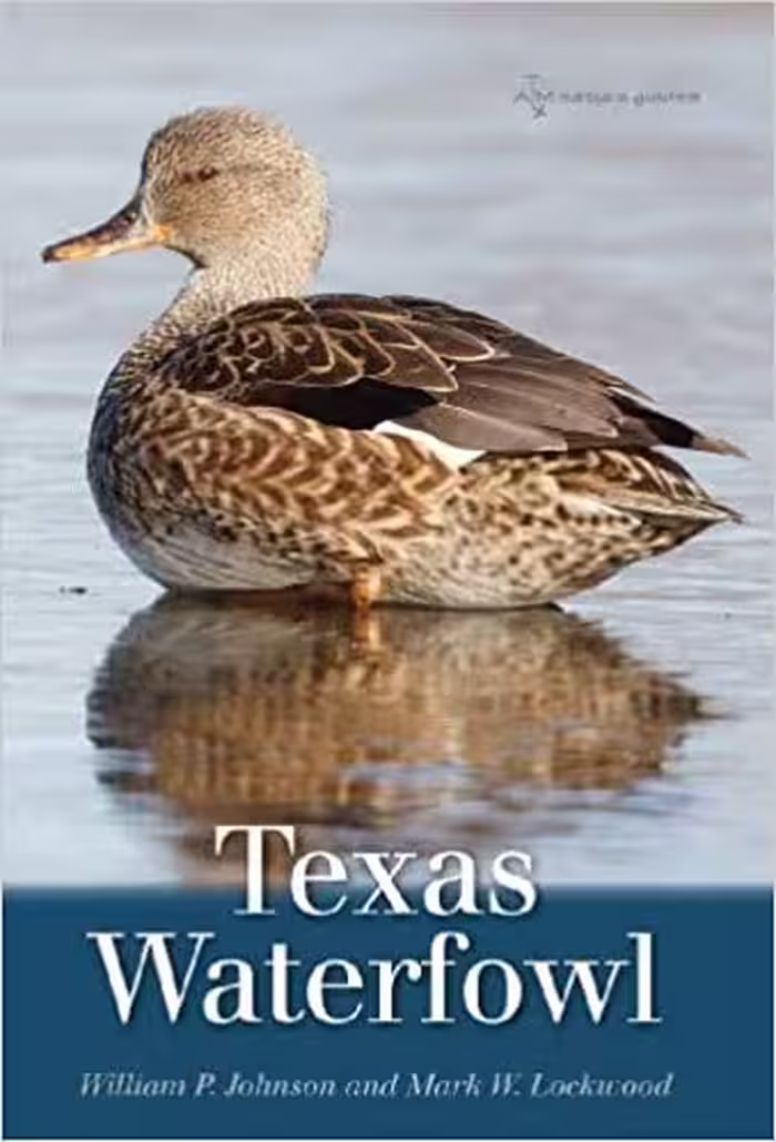 خرید و دانلود نسخه کامل کتاب Texas Waterfowl (Volume 46) (W. L. Moody Jr. Natural History Series) -   pdf