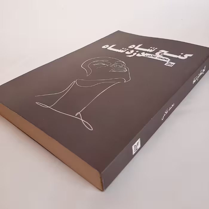 کتاب گنج شاه دزد شاه اثر محمد غلامی نشر چلچله
