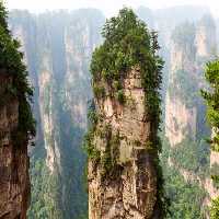 خرید و دانلود عکس Nature-Part-6 کد 37080 | پیک فاکس | Pic Fox