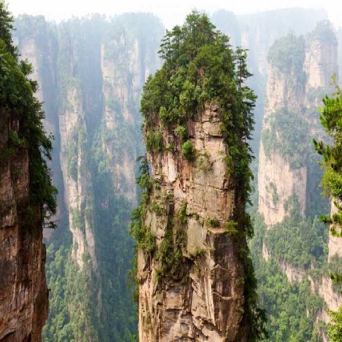 خرید و دانلود عکس Nature-Part-6 کد 37080 | پیک فاکس | Pic Fox