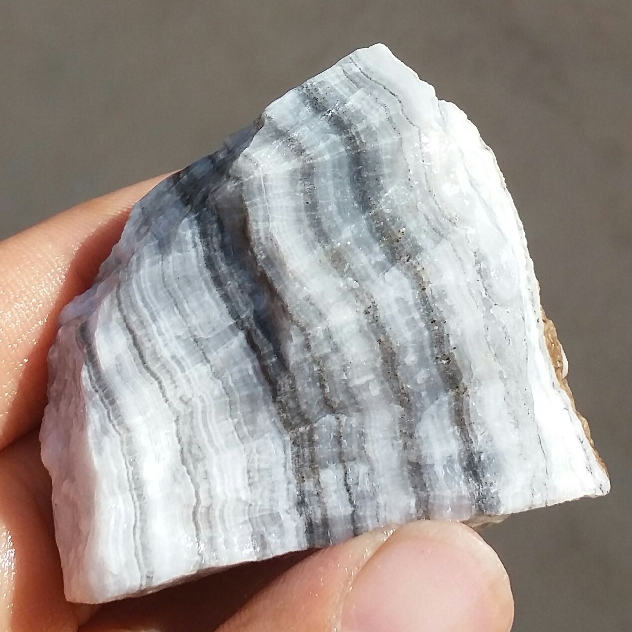 سنگ راف  آراگونیت  سیاه سفید خارق العاده 100 در 100 طبیعی  شاهکار خلقت خاص
با قابلیت ساخت چند نگین دیدنی
کد11030