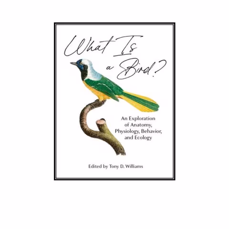 کتاب What Is a Bird?: An Exploration of Anatomy, Physiology, Behavior, and Ecology اثر Tony D. Williams انتشارات مولفین طلایی