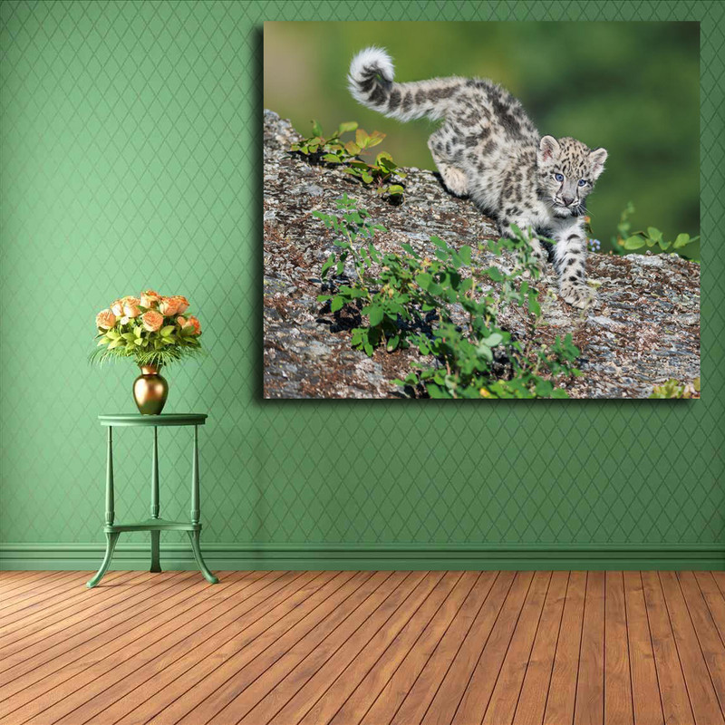 تابلو شاسی مدل پلنگ برفی کد 1 | دنیای قاب