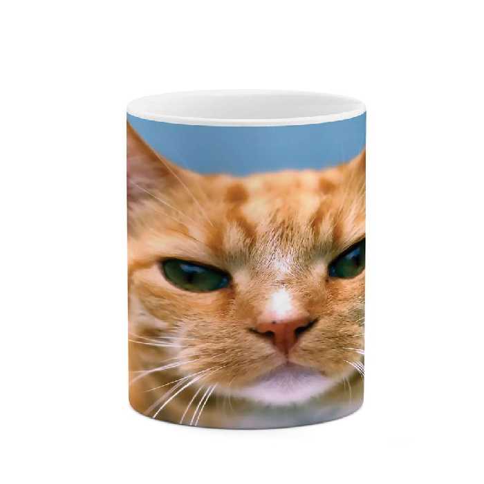 ماگ طرح گربه مدل mgs05451